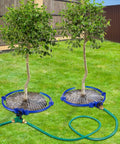 Two Pack 360 Degree Tree Water Sprinkler Ring Kit Adjustable Root Irrigation With Y Hose Splitters around two trees