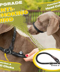 Heavy Duty Slip Lead Dog Leash 6 Ft Half Inch No Pull Training Rope For Large And Medium Dogs Reflective with Anti-Choking Feature