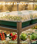 No Fuss Seed Starter Tray Kit with reusable germination trays, humidity domes and bases, 40 cell green set in a greenhouse.
