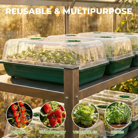 No Fuss Seed Starter Tray Kit with reusable germination trays, humidity domes and bases, 40 cell green set in a greenhouse.