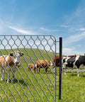 Pro Grade Chain Link Fence Stretcher Tool 31.5 Inch Upgrade With Six Thickened Hooks in use on a fence with cows in the background