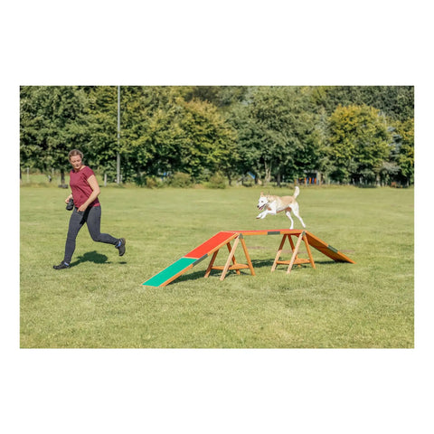 Dog on agility walk ramp with color-coded zones in park, trainer beside. Agility Dog Walk Ramp With Color Coded Contact Zones For Safe Training.