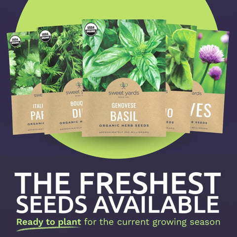 organic herb seeds for planting Herb Seed Variety Pack With 10 Seeds Non-GMO ✓