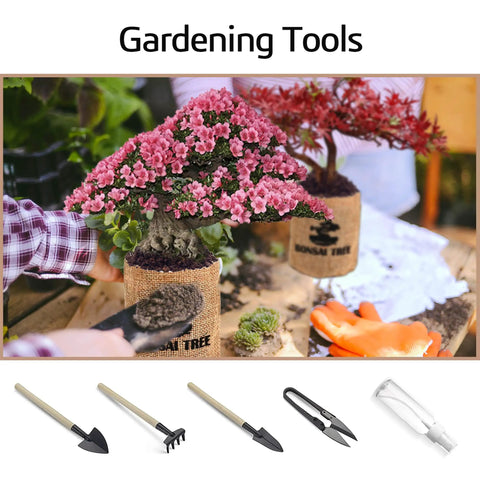 Indoor Bonsai Garden Starter Kit With Five Seed Varieties Acacia Wisteria Red Maple Black Pine Judas Tree Easy Grow Kit displayed with gardening tools
