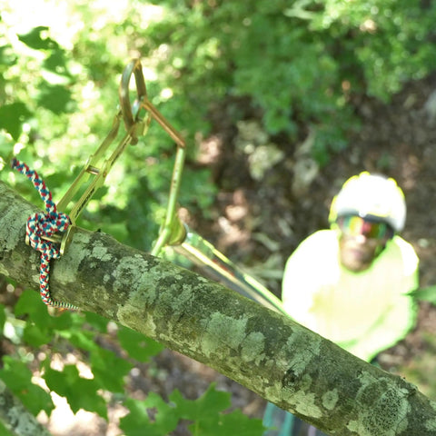 Rope Sniper Pro Arborist Tool for effortless rope placement on a tree branch, view from above highlighting laser sharp precision.
