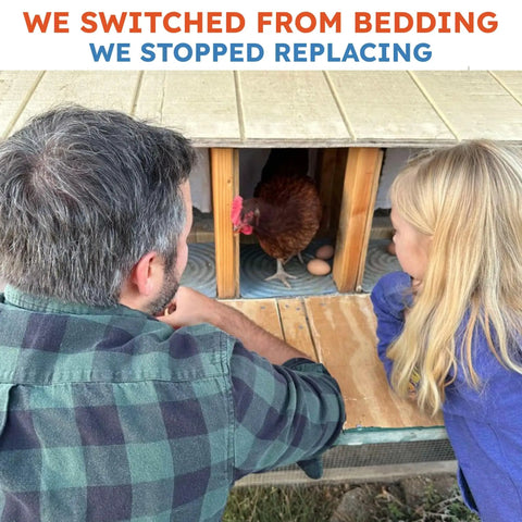 Washable Chicken Nesting Pads For Laying Eggs Reusable Durable Nest Box Cushions in coop with family observing.