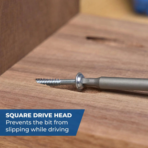 Zinc Pocket Hole Screws 1 1/4 Inch Coarse Thread Maxi Loc Head Indoor 250 Count for softwood and plywood, close-up view.