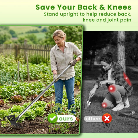 Woman using 2-In-1 Garden Hoe And Weed Puller Tool with Long Handle for Lawn and Garden in vegetable patch