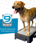 Dog standing on KLIMB Jr Dog Training Platform For Behavior Basics With DIY Guide Safe Space To Stop Begging Jumping And Barking
