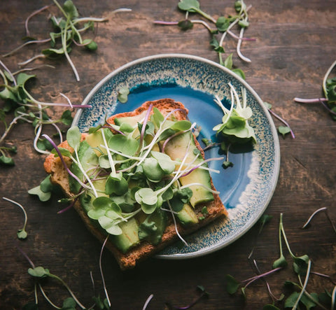 Avocado toast topped with Colorful Microgreen Seeds Mix for Home Growers on a ceramic plate, scattered seeds around.