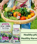 Person holding vegetable basket with Soil pH And Nitrogen Test Kit With Test Tube 100 Tests Easy To Use Home Garden Lawn Yard Testing Kit