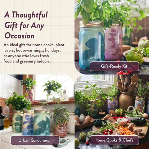 Dope Mason Garden Jar Self Watering Hydroponics Kit With Organic Herb Seeds shown in gift-ready home kitchen setting