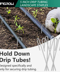120 Pack Drip Tubing Stakes 5 Inch Galvanized Steel Landscape Staples For One Quarter Inch Or One Eighth Inch Tubing Durable And Heavy Duty Irrigation Anchors To Secure Drip Lines In Lawn And Garden