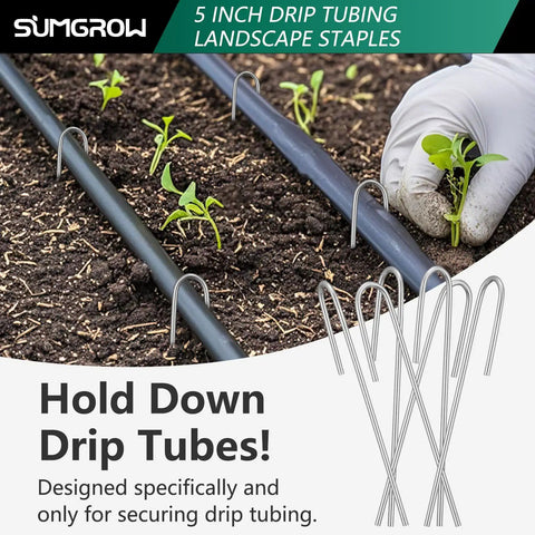 120 Pack Drip Tubing Stakes 5 Inch Galvanized Steel Landscape Staples For One Quarter Inch Or One Eighth Inch Tubing Durable And Heavy Duty Irrigation Anchors To Secure Drip Lines In Lawn And Garden