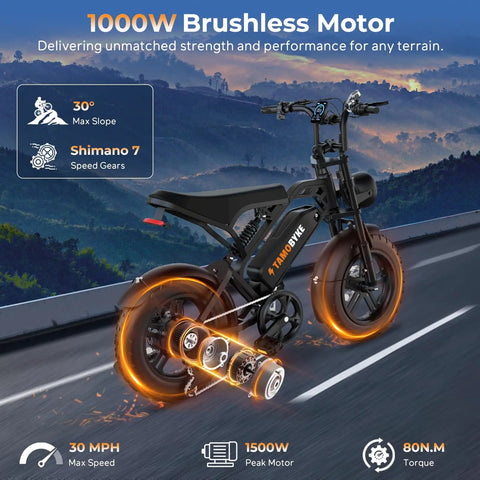 Raw Power 1000W Fat Tire Electric Bike For Teens And Kids 48V 15.6Ah Removable Battery 30 MPH Off Road Electric Bike shown on mountain road