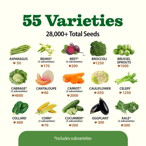 Survival Seed Vault With 55 Heirloom Varieties And 28000 Seeds Non GMO For Year Round Gardening, vegetable seed varieties shown