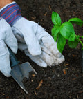 Heavy Duty Work Gloves For Landscaping And Gardening, 12 Pair Pack with Durable Split Leather Palm planting seedling