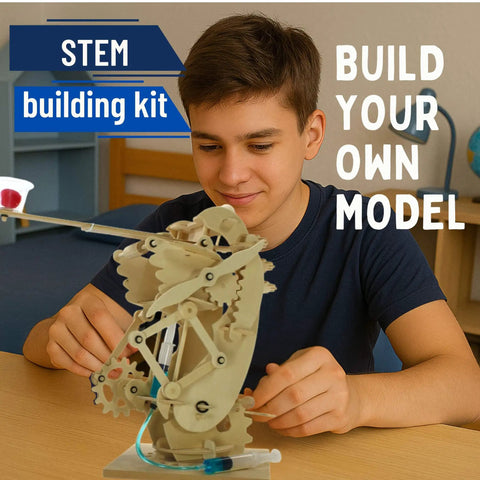 DIY Hydraulic Gearbot Kit: Wooden STEM Build With Gears, Levers And Launcher For Teens And Adults, Hands-On Hydraulic Robot Project