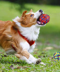Dog playing with Indestructible Rope Chew Toys Set For Aggressive Chewers, Heavy Duty Dental Rope Toys For Large Breeds