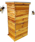 Five Layer Langstroth Beehive Starter Kit Dipped In 100 Percent Beeswax Coated Hive With Two Deep Boxes And Three Medium Super Boxes
