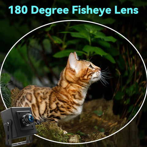 5MP USB Camera With 180 Degree Fisheye Lens 1080P 30FPS Webcam Aptina MI5100 Sensor viewing a cat in nature