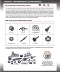 Diagram showing manual transmission components including cluster gears, shift forks, and bearings for T176 4-speed 1980-1983.
