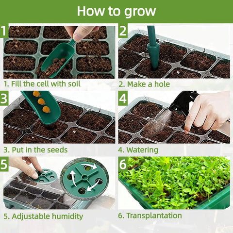 Step-by-step guide using 10 Pack Seed Starter Tray Kit With Humidity Dome 120 Cell Trays for germination and seedlings.