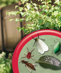Insecticidal Soap Ready to Use Spray for Organic Gardening, pests highlighted on leaf with garden backdrop.