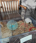 Rabbit cage with metal wire frame; two rabbits inside, turquoise exercise wheel, white hideout, and hay.