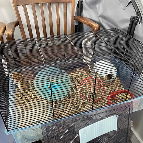 Rabbit cage with metal wire frame; two rabbits inside, turquoise exercise wheel, white hideout, and hay.