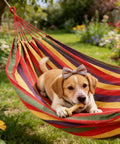 Canvas Hammock With Durable Comfort For Patio Yard Garden Backyard And Travel Portable And Easy Setup With Carrying Bag Included