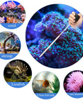 Two Pack Long Reach Feeding Pipette For Aquarium Fish Tank And Coral Food Deep Reach Syringe Feeding Tube For Marine Fish Reef Tanks And Planted Aquariums 13.78 Inch Length Black, acrylic tube feeding coral