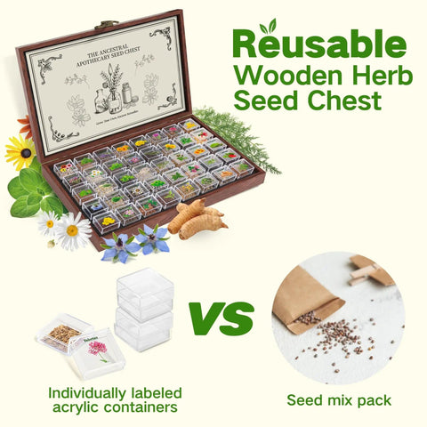 Ancestral Apothecary Medicinal Tea Herb Seed Chest With 40 Heirloom Non GMO Seeds For Planting Oregano Basil Chamomile Lavender And More In Raised Beds And Windowsills A Thoughtful Garden Gift For Women And Men, open wooden box with labeled seed containers and herbs.