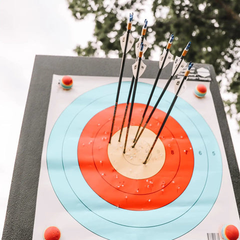 24 Inch Pro Series Big Block Foam Archery Target For Broadheads And Field Tips with arrows in the bullseye, high density foam