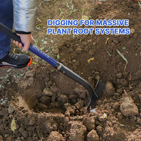Heavy Duty Shovel With Fiberglass Handle 57 Inch Spade For Gardening, Trenching, Planting And Transferring, Tough As Nails, Carbon Steel Head With Rust Resistant Coating, Blue being used in garden to dig soil