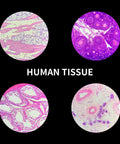100 Pack Prepared Microscope Slides Set For Kids And Homeschoolers With Professional Specimens High Quality Optical Glass Human Tissue