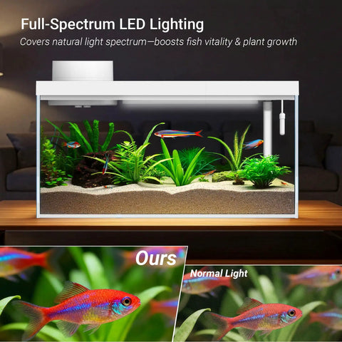 Top Tier Ready Slick Desktop Aquarium Kit With Smart App Control And Built In Auto Feeder 1.3 Gallon Small Fish Tank with full-spectrum LED lighting.