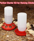 Automatic Chick Feeder And Waterer Set No Waste Brooder Kit For Baby Chicks Ducks And Quail Includes One Liter Drink Dispenser And One Kilo Feed Hopper with chicks feeding in coop