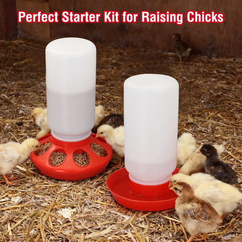 Automatic Chick Feeder And Waterer Set No Waste Brooder Kit For Baby Chicks Ducks And Quail Includes One Liter Drink Dispenser And One Kilo Feed Hopper with chicks feeding in coop