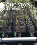 Rows of plants watered by 50 Pack Six Inch Angled Drip Emitter Stake Fits One Eighth Inch And One Quarter Inch Tubing For Precise Watering in greenhouse.