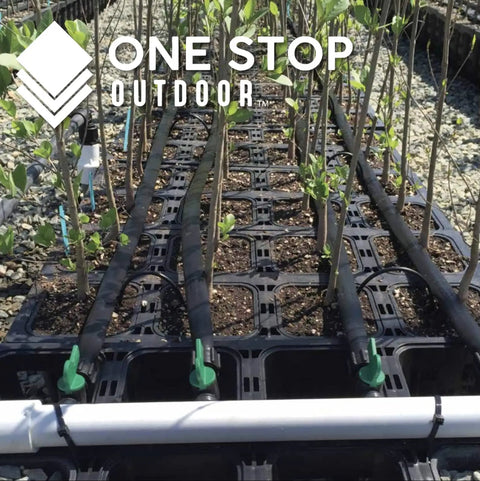 Rows of plants watered by 50 Pack Six Inch Angled Drip Emitter Stake Fits One Eighth Inch And One Quarter Inch Tubing For Precise Watering in greenhouse.