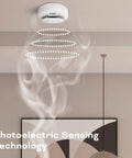 2 In 1 Smoke And Carbon Monoxide Detector With AA Battery Powered And LED Warning Light Indicators 1 Pack 24 7 Self Testing For Continuous Protection And Easy Setup For Quick Fire And CO Alerts At Home, ceiling-mounted