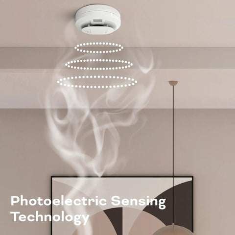 2 In 1 Smoke And Carbon Monoxide Detector With AA Battery Powered And LED Warning Light Indicators 1 Pack 24 7 Self Testing For Continuous Protection And Easy Setup For Quick Fire And CO Alerts At Home, ceiling-mounted