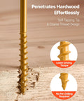 All Weather Tough Number 10 X 3 Inch Exterior Deck Screws 350 Count Pack with Torx T25 drive penetrating hardwood effortlessly