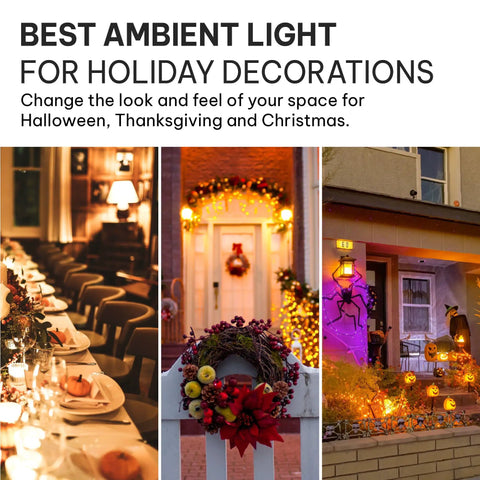 Orange LED Lit Flame Bulbs With Four Modes Indoor Outdoor Use 3W E26 E27 2 Pack lighting up festive holiday decorations.