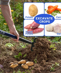 Heavy Duty Garden Fork With Fiberglass Handle 43 Inches Long 4 Tines digging potatoes in soil, vegetables displayed nearby.