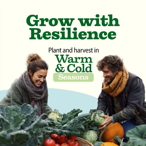 Two people harvesting vegetables, emphasizing year-round gardening and resilience, related to Survival Seed Vault With 55 Heirloom Varieties And 28000 Seeds Non GMO For Year Round Gardening Easy Germination Emergency Food Supply And A Family Friendly Garden Starter Kit For Home Growers And Greenhouse Enthusiasts.