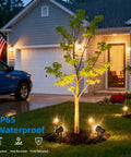 No Fuss All In One Low Voltage Landscape Lighting Kit illuminating a tree at night with Dusk To Dawn Transformer, showing waterproof spotlights