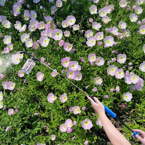Extendable Pollen Duster For Fruit Trees With 93cm Rod Diatomaceous Earth Atomizer in use over flowering plants