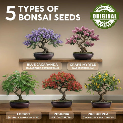 Beginner Bonsai Tree Kit With 5 Unique Japanese Bonsai Trees, Complete Indoor Bonsai Starter Kit Includes Tools, Planters, Extra Seeds, And DIY Growing Guide Dope Gift For Women And Men image showing five bonsai types: Blue Jacaranda, Crape Myrtle, Locust, Phoenix, and Pigeon Pea on wooden shelf.